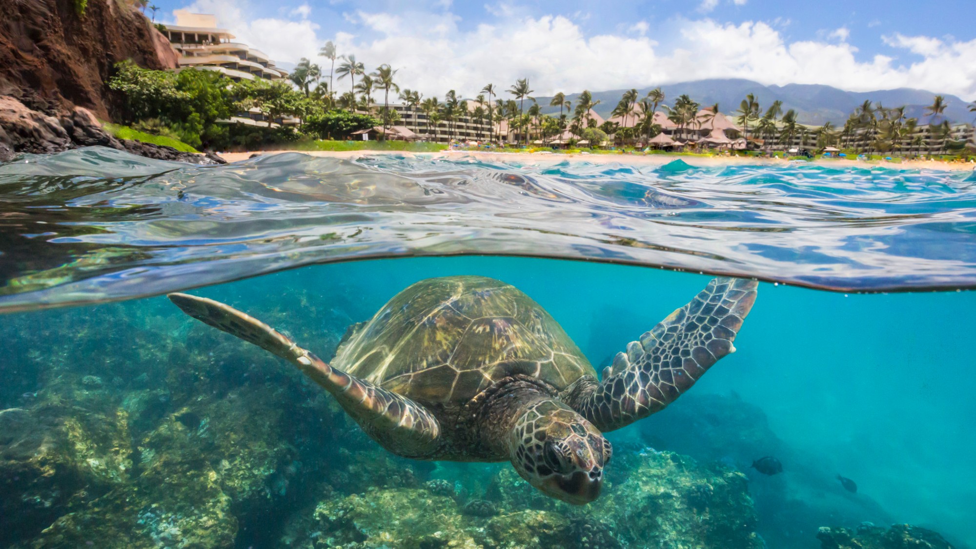 Maui, Hawaii